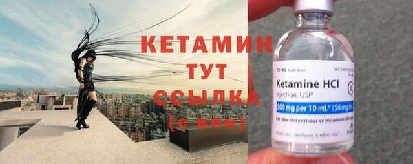 крисы Надым