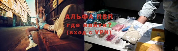 крисы Надым