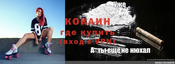 крисы Надым