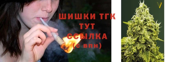 крисы Надым
