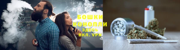 крисы Надым