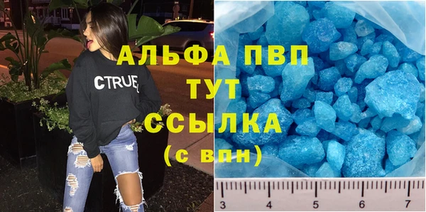 крисы Надым