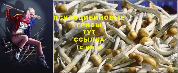 крисы Надым
