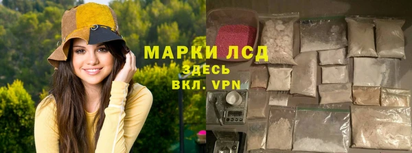 крисы Надым