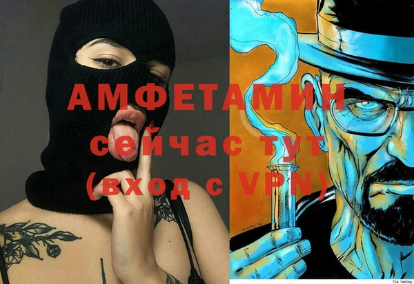 крисы Надым