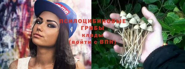 крисы Надым